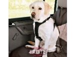 Trixie BEZPEČ.postroj PROTECT Plus S 50cm