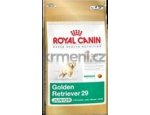 Granule pro psy Royal Canin ZLATÝ RETRIEVER JUNIOR 12kg, doprava zdarma