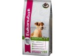 Granule pro psy EUKANUBA JACK RUSSELL 2kg
