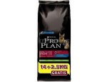 Granule pro psy Purina Pro Plan Dog Adult Large Athletic 2x14kg, doprava zdarma