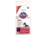 Granule pro psy N&D dog GF ADULT MAXI fish / orange 12kg, doprava zdarma, zboží skladem