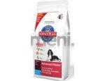 Granule pro psy N&D dog GF ADULT MAXI LAMB / BLUEBERRY 12kg, doprava zdarma