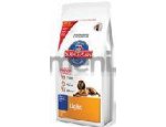 Granule pro psy N&D dog LG ADULT CHICKEN / POMEGRANATE 2,5kg