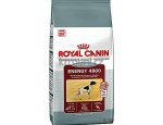 Granule pro psy Royal Canin MEDIUM LIGHT weight/care 13kg - trhlý - 1ks, doprava zdarma, zboží skladem