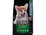 Granule pro psy CIBAU PUPPY MEDIUM 2,5kg