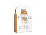 Granule pro psy Brit Care dog Adult Medium Breed Lamb & Rice 12kg, doprava zdarma, zboží skladem