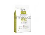 Granule pro psy Brit Care dog Adult Small Breed Lamb & Rice 1kg, zboží skladem