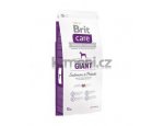 Granule pro psy Brit Care dog Grain Free Giant Salmon & Potato 1kg, zboží skladem