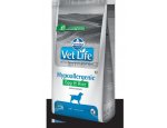 Granule pro psy VET LIFE dog HYPO EGG & RICE natural 2kg
