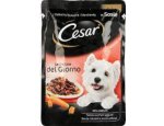 CESAR kapsa 100g S hovězím a zeleninou/želé, zboží skladem