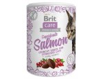 BRIT CARE cat SNACK SUPERFRUITS SALMON 100g, zboží skladem