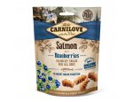 CARNILOVE dog SALMON/blueberries 200g, zboží skladem