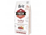 Granule pro psy BRIT FRESH PUPPY LARGE beef/pumpkin 2,5kg, zboží skladem