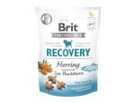 BRIT snack RECOVERY herring/sea buckthorn 150g, zboží skladem