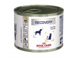 Konzervy pro psy Royal Canin/ Feline Veterinary Diet RECOVERY konzerva 195g