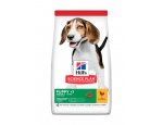 Granule pro psy Hills PUPPY MEDIUM chicken 14kg, doprava zdarma