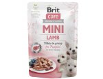 BRIT CARE dog MINI kapsa PUPPIES lamb 85g, zboží skladem
