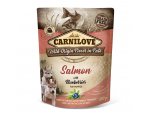 CARNILOVE dog kapsa PUPPY salmon/blueberries 300g, zboží skladem