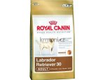 Granule pro psy Royal Canin Labrador Adult - granule pro dospělého labradora 3kg, zboží skladem