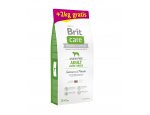 Brit Care dog Grain Free Adult Large Breed Salmon & Potato 12kg + 2kg GRATIS