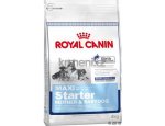 Granule pro psy Royal Canin MAXI STARTER - granule pro březí nebo kojící feny a štěňata 4kg, zboží skladem