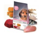 Granule pro psy N&D dog LG ADULT MINI CHICKEN/POMEGRANATE 800g, zboží skladem