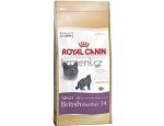 Granule pro kočky Royal Canin British Shorthair Adult - granule pro britské krátkosrsté kočky 10kg, doprava zdarma, zboží skladem