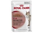 Royal Canin Instinctive Gravy - kapsička pro kočky ve šťávě 85g, zboží skladem