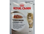 Royal Canin Ageing +12 Jelly - kapsička pro staré kočky v želé 85g, zboží skladem