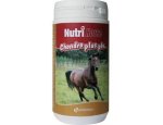 Nutri HORSE CHONDRO PLUS 1kg, doprava zdarma, zboží skladem