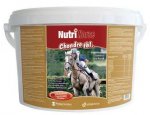 Nutri HORSE CHONDRO tbl. 1kg/cca330tbl, doprava zdarma, zboží skladem