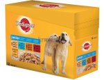 PEDIGREE kapsa 12ks JUNIOR, zboží skladem