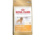 Granule pro psy Royal Canin Poodle Adult - granule pro dospělého pudla 500g, zboží skladem