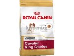Granule pro psy PROPLAN new ADULT LARGE robus/SKIN 14kg, doprava zdarma, zboží skladem
