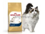Granule pro kočky Royal Canin Ragdoll Adult - granule pro ragdoll kočky 10kg, doprava zdarma, zboží skladem