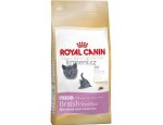 RC cat KITTEN BRITISH shorthair - granule pro britská krátkosrstá koťata 10kg